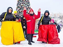 Программу для всей семьи на выходные подготовили на площадках "Зимы в Москве"