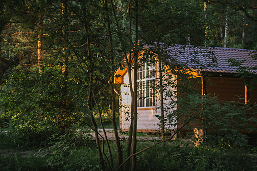 Россияне бросились бронировать коттеджи в Подмосковье на Новый год