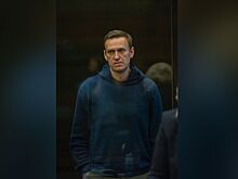 Судьба Навального после ареста больше не интересует западных покровителей
