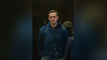 Судьба Навального после ареста больше не интересует западных покровителей