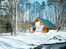 Как выбрать снегоуборщик для дачного участка