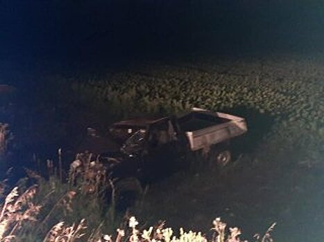 В Башкирии водитель скончался после опрокидывания в кювет (ВИДЕО)