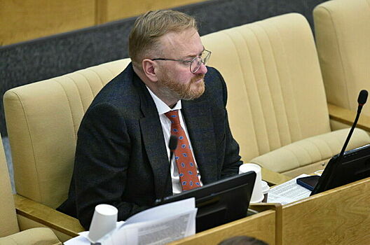 Милонов призвал МВД к диалогу с футбольными фанатами из-за Fan ID