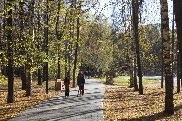 В Тюмени до конца года благоустроят сквер в микрорайоне «Тура»
