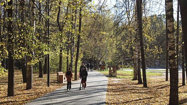В Тюмени до конца года благоустроят сквер в микрорайоне «Тура»