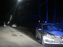 Насмерть сбившей пешеходов жительнице Новосибирской области вынесли приговор