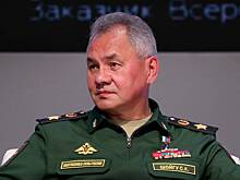 Шойгу показал паспорт с необычной обложкой на выборах