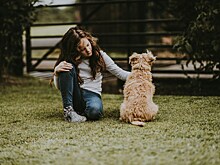 Ученые: детям с аутизмом могут помочь собаки