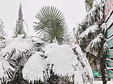 Юг России "заморозит" на десять лет