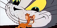 Помните, как звали хозяйку кота? 5 фактов о мультфильме «Том и Джерри»