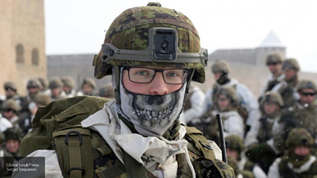 Эстония назначила спецпредставителя на Украине по военным «ноу-хау»