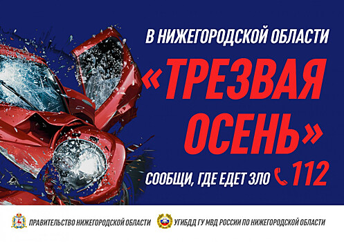 Четырнадцать нетрезвых водителей задержали за неделю в Нижегородской области