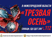 Четырнадцать нетрезвых водителей задержали за неделю в Нижегородской области