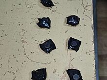 Полицейские нашли более 15 г метадона у мужчины на станции МЦД-4 «Переделкино»