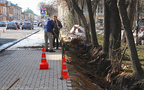 В Рязани при ремонте ограды Верхнего городского сада повредили корни деревьев и кустарников
