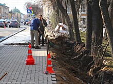 В Рязани при ремонте ограды Верхнего городского сада повредили корни деревьев и кустарников