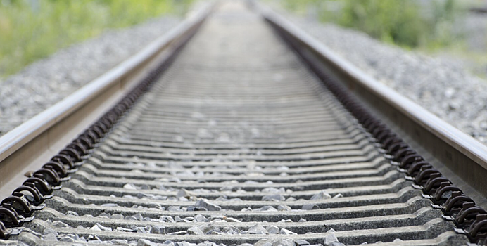 Путешествие из Москвы во Владивосток на поезде хотят сделать обязательным