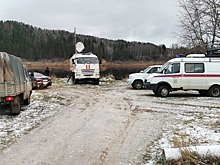 Спасатели возобновили поиски на месте крушения вертолета под Вологдой 