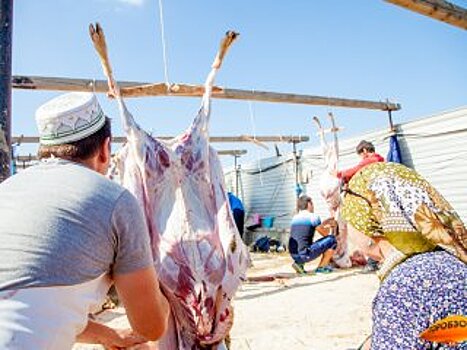 В Башкирии ограничат ввоз жертвенных животных из-за ящура