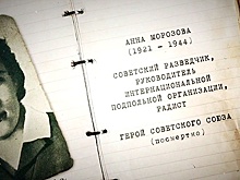 Позывной «Лебедь»: служба и подвиг легендарной радистки Анны Морозовой