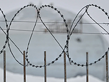 В Омской области пока не будут применять помилование для заключенных, принявших участие в СВО