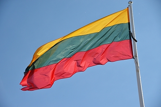 Литва намерена отправить своих солдат на Украину, чтобы те научились большему — СМИ
