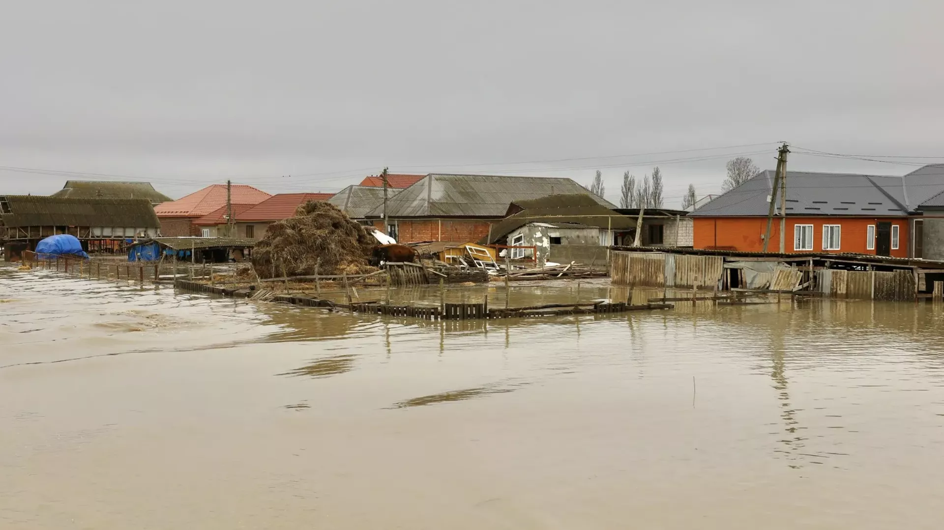 Ситуация в Дагестане: поручение Путина и другие события к этой минуте