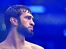 Зубайра Тухугов — Элвис Бреннер, UFC 284, кто фаворит боя