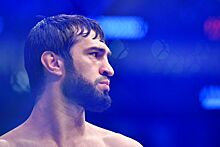 Зубайра Тухугов — Элвис Бреннер, UFC 284, кто фаворит боя