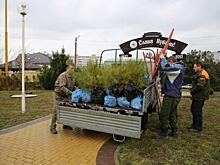 На юге России поддержали акцию памяти в честь погибших в Великой Отечественной войне