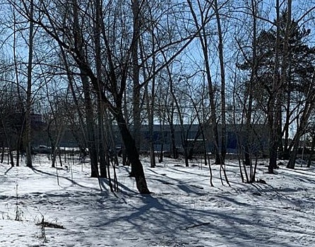 В Новосибирской области проводится доследственная проверка по факту травмирования несовершеннолетнего