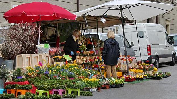 Мособлдума отложила дату обязательного переезда сельхозрынков региона в капитальные строения до 2025 г.