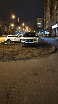 Гости из Самары припарковали машину на энгельсском газоне