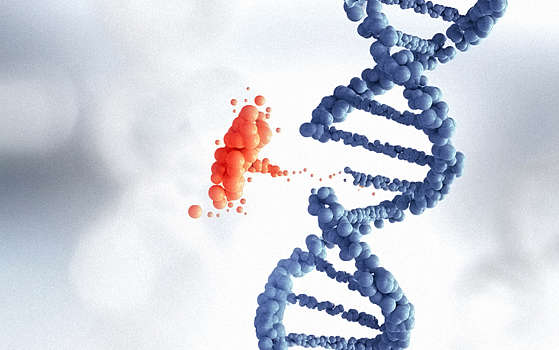 Новый алгоритм поможет в поиске ответственных за развитие болезней генов