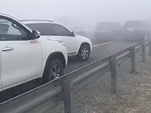 Густой туман стал причиной жуткой аварии в ОАЭ с участием 44 машин. Видео