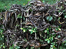 Самые опасные места на Земле, куда лучше не ступать ни одной ногой