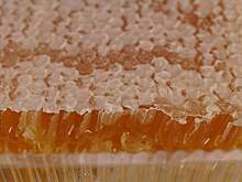 Вода помутнеет: как проверить качество меда в домашних условиях