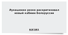 Лукашенко резко раскритиковал новый кабмин Белоруссии