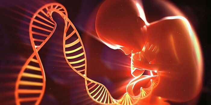 Какие этические препятствия стоят на пути генетической модификации человечества?