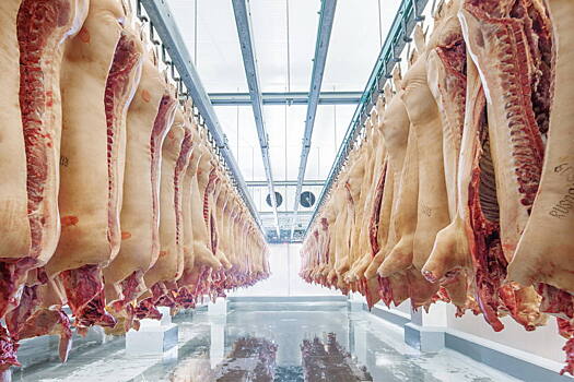 ГК «Таврос» направит более 9 млрд рублей на строительство масоперерабатывающего завода в Башкирии