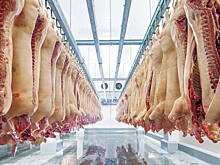 ГК «Таврос» направит более 9 млрд рублей на строительство масоперерабатывающего завода в Башкирии