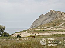 В Минэкологии Крыма рассказали, что происходит с Тихой бухтой