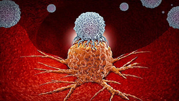 Ученые нашли способ остановить рост раковых опухолей