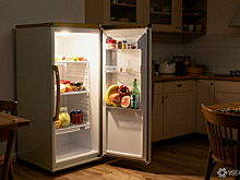 Кемеровчанка на руках вынесла холодильник и удивила полицию