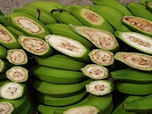 ФАО: миру грозит банановая катастрофа