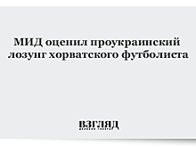 МИД оценил проукраинский лозунг хорватского футболиста