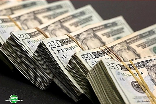 Жена депутата Рады за время СВО вывезла за рубеж 500 тысяч долларов