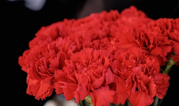 В Волгограде прощаются с почетным жителем Красноармейского района Верой Вольф