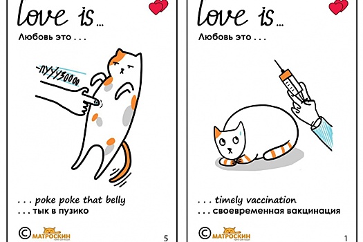 В пермском приюте «Матроскин» нарисовали валентинки про котов в стиле Love is…
