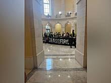Протестующие против кровопролития в секторе Газа активисты ворвались в Капитолий. Полиция США арестовала 500 человек
